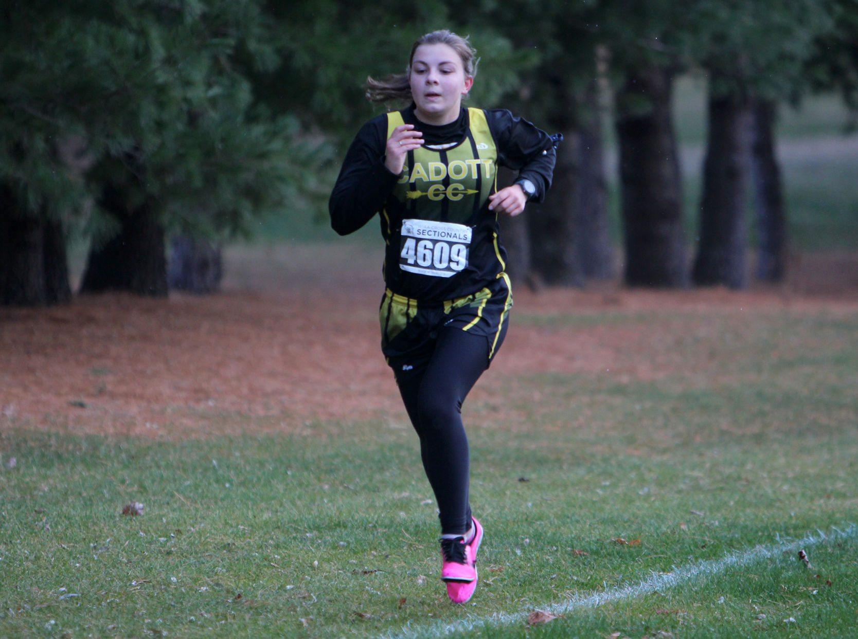 Division 3 Cross Country Sub-Sectional at Colfax 10-19-20